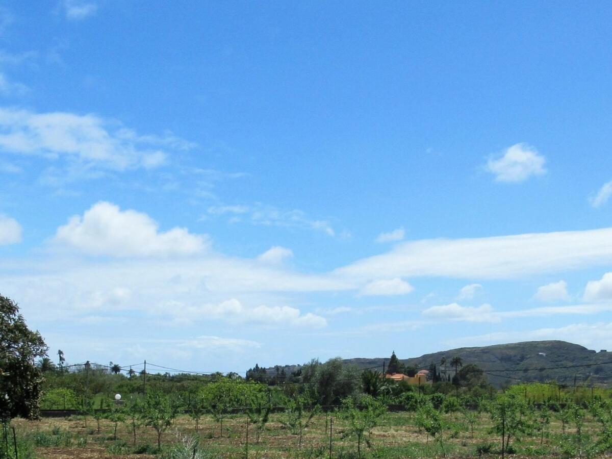 Casa Rural El Alpendre Vega de San Mateo Eksteriør billede