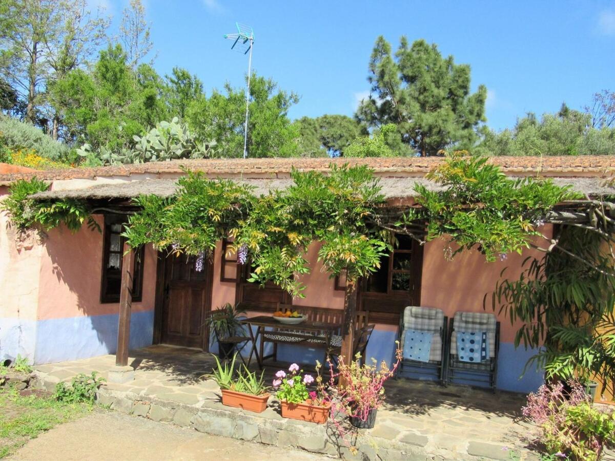 Casa Rural El Alpendre Vega de San Mateo Eksteriør billede
