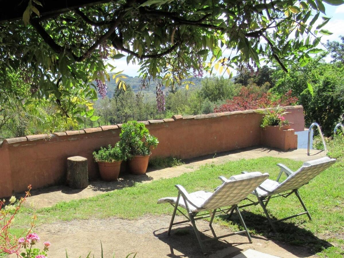 Casa Rural El Alpendre Vega de San Mateo Eksteriør billede